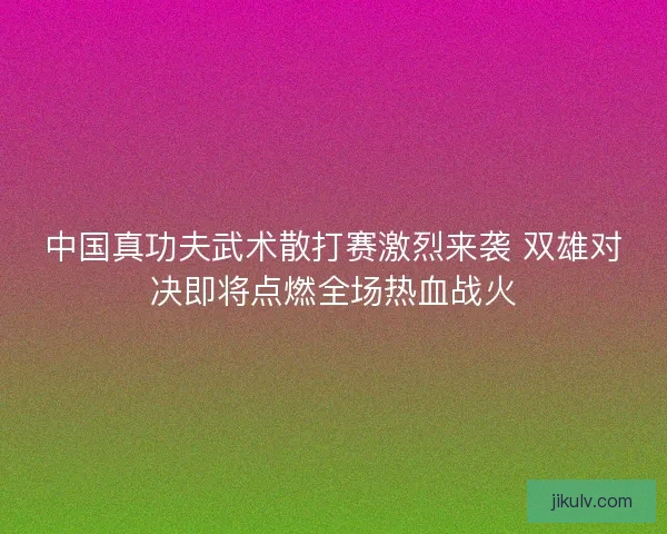 中国真功夫武术散打赛激烈来袭 双雄对决即将点燃全场热血战火